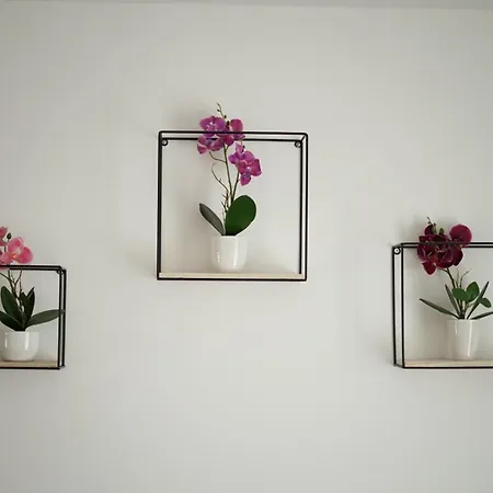 Moeblierte 3-zimmer-wohnung Nahe Duesseldorf In Duisburg-sued 아파트 뒤스부르크