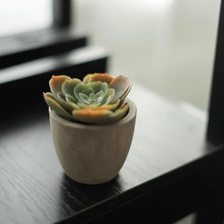 Moeblierte 3-zimmer-wohnung Nahe Duesseldorf In Duisburg-sued