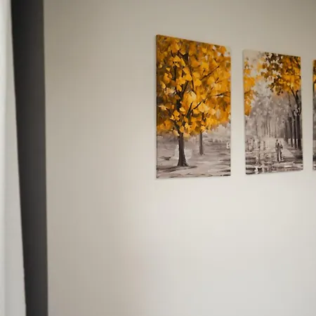 Moeblierte 3-zimmer-wohnung Nahe Duesseldorf In Duisburg-sued * 뒤스부르크