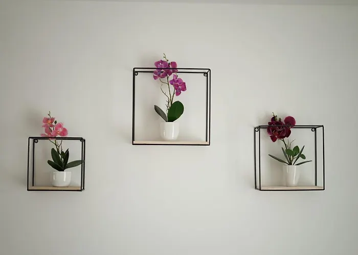 Moeblierte 3-zimmer-wohnung Nahe Duesseldorf In Duisburg-sued Appartamento Duisburgo