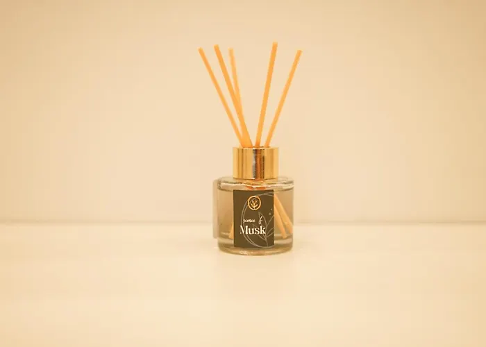 Appartamento Moeblierte 3-zimmer-wohnung Nahe Duesseldorf In Duisburg-sued *